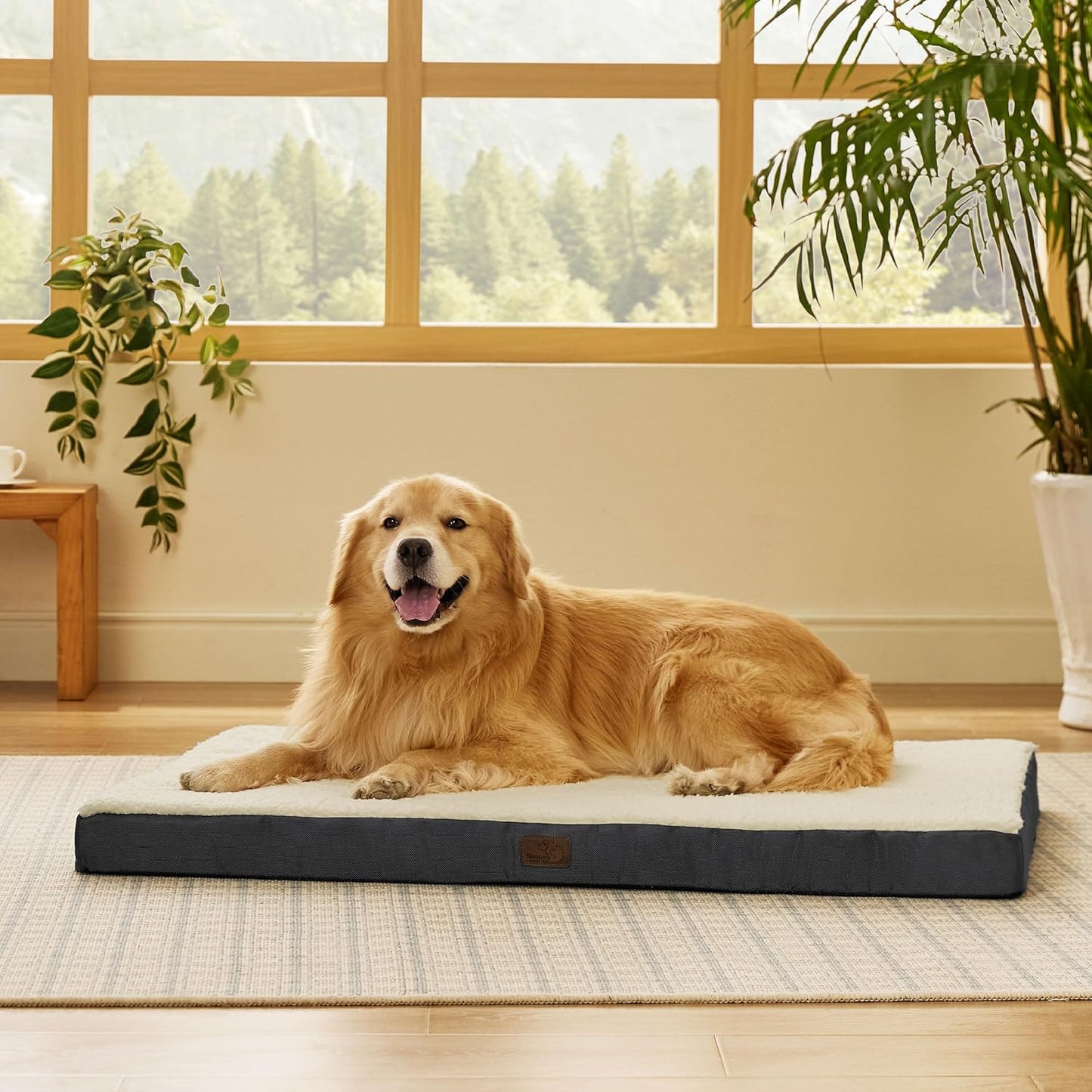 XL Dog Bed, Extra Large Pet Bed with Comfy Sherpa,44X32In Grey | Orthopedic Egg Crate Foam,Comfort Support Flat Rectangle Pet Mat,Non-Slip Bottom,Removable Cover,For Extra Pet up to 80 Lbs