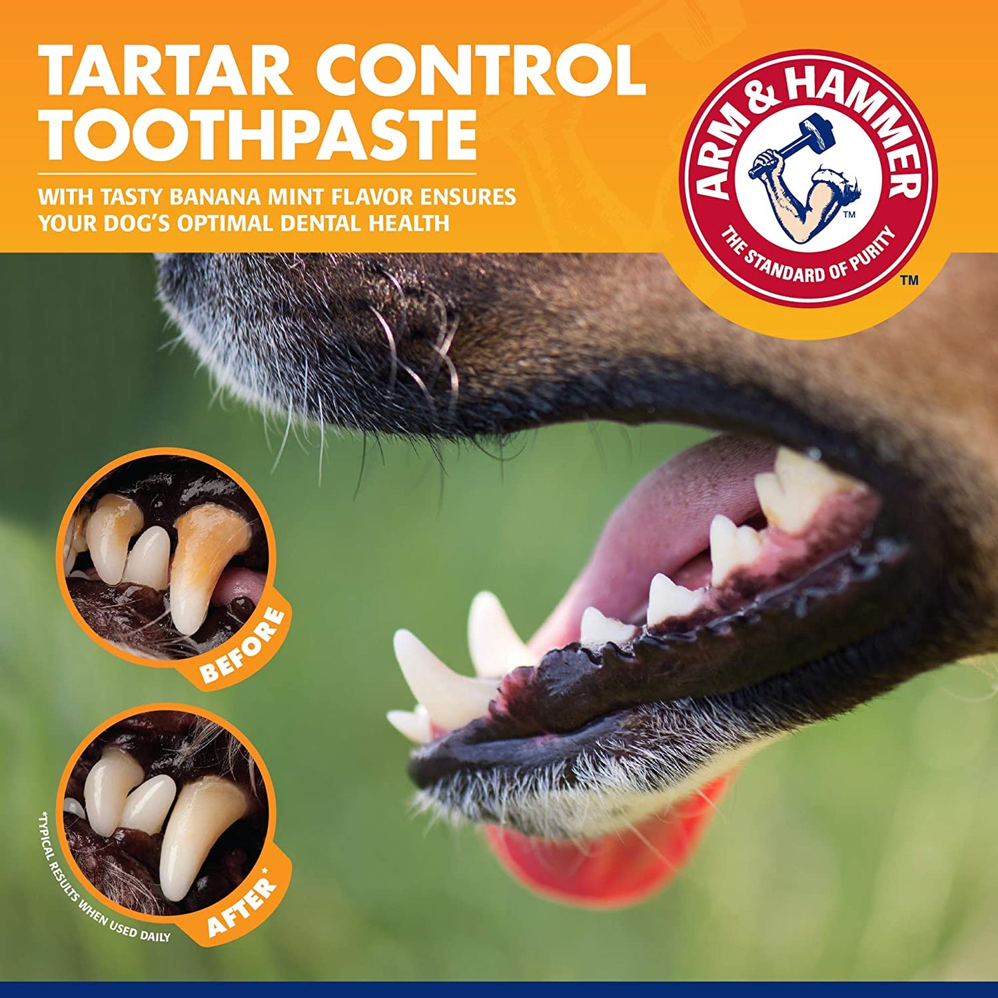 for Pets Tartar Control Dog Dental Care Kit, Banana Mint Flavor Toothpaste with Baking Soda, Double-Sided Toothbrush and Finger Brush Included, 2.5 Oz, 3-Piece